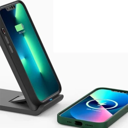 Ốp lưng iPhone 13 Pro Max Araree Pellis 4