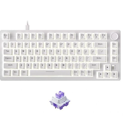 Bàn Phím Cơ Dareu Ek75 Full White 1