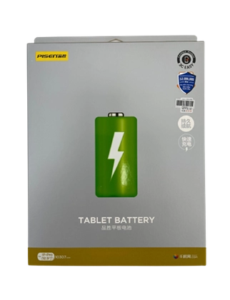 pin ipad air 2 chính hãng pisen 2