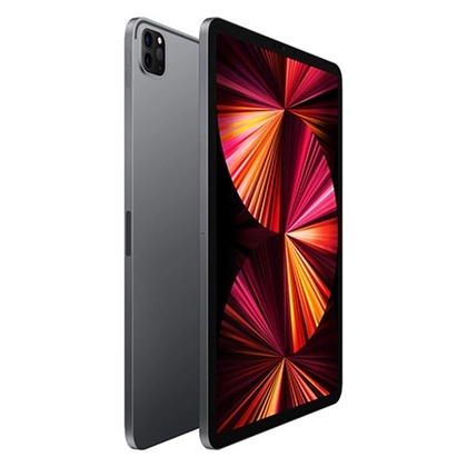 hiển thị iPad Pro m1 2021 2