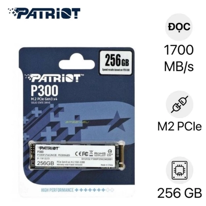 Ổ Cứng Laptop SSD PATRIOT P300 M2 PCIE NVME 2280 256GB 1
