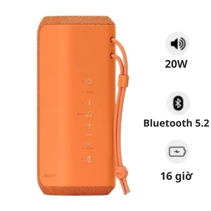 Loa Bluetooth Sony SRS-XE200 1