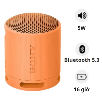 Loa Bluetooth Sony SRS-XB100 Extra Bass 1