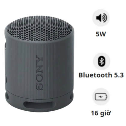 Loa Bluetooth Sony SRS-XB100 Extra Bass 1