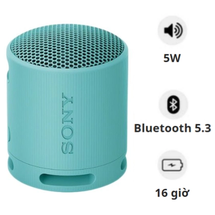 Loa Bluetooth Sony SRS-XB100 Extra Bass 1