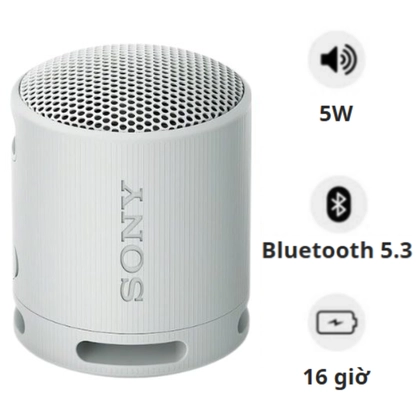 Loa Bluetooth Sony SRS-XB100 Extra Bass 1