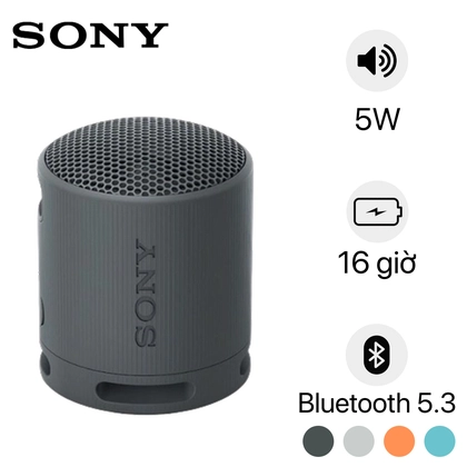 wp-content/uploads/images/products/210392/loa-bluetooth-sony-srs-xb100-17497997913465.png