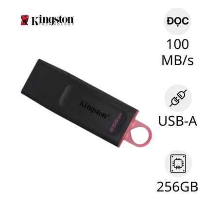 USB Kingston 3.2 DataTraveler Exodia DTX 256GB 1