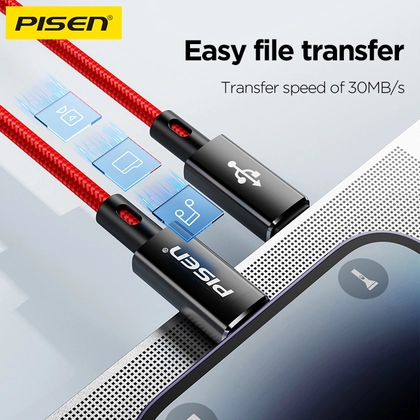 Cáp sạc nhanh Pisen Quick Platinum Type-C to Lightning 1.5M 2