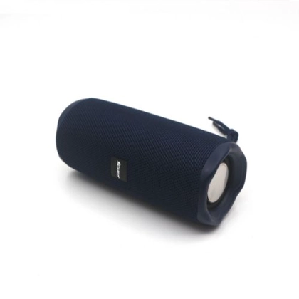 Loa Bluetooth StarGO P10 3