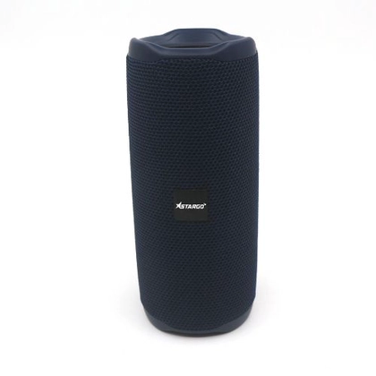 Loa Bluetooth StarGO P10 1