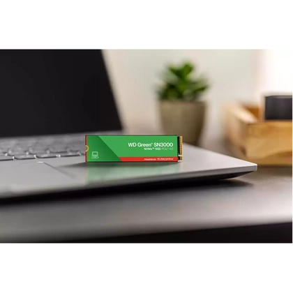 Ổ cứng SSD Western Digital Green SN3000 NVME PCIe Gen 4.0 1TB 3