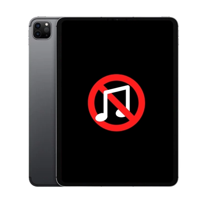 main IC audio iPad Pro 11 2021 1