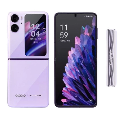 màn hình Oppo Find N2 Flip 5G 4
