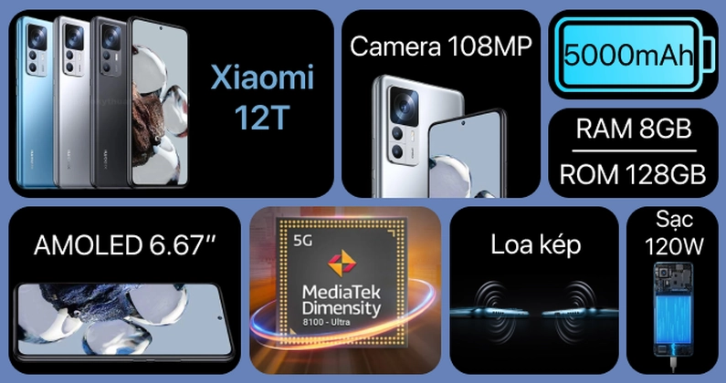wp-content/uploads/images/12t-1.png