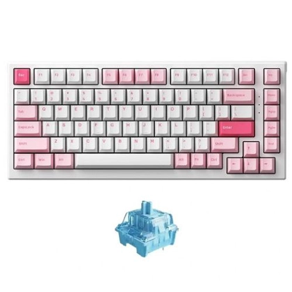 Bàn phím cơ AKKO Monsgeek MG75 Prunus Lannesiana 1