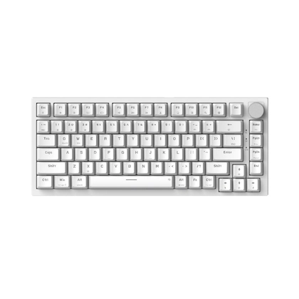 Bàn Phím Cơ Có Dây Dareu Ek87 Tkl/ Multi-Led/Đen Brown Switch 2
