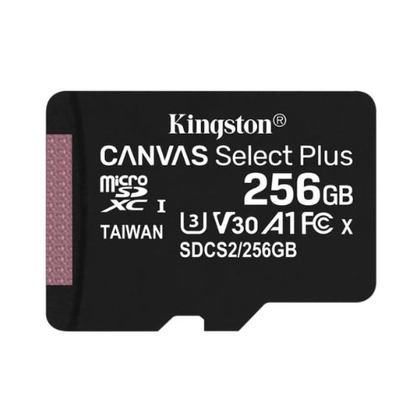 Thẻ nhớ Micro Kingston Class 10 256GB ( Không Adapter ) 2