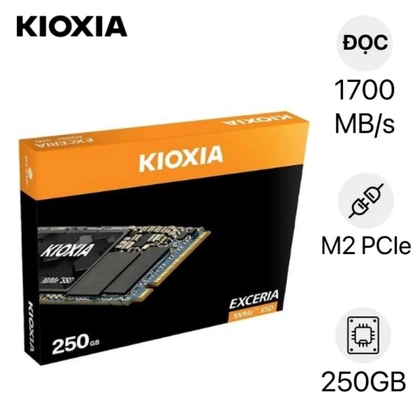 Ổ Cứng Laptop SSD KIOXIA EXCERIA R1700 M2 PCIE NVME 2280 250GB 1
