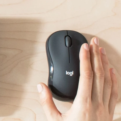 Combo bàn phím + chuột không dây Logitech MK295 Silent 4