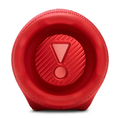 Loa Bluetooth JBL Charge 6 2