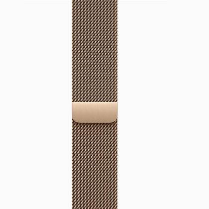 wp-content/uploads/images/products/260443/apple-watch-series-10-42mm-4g-vien-titan-day-thep-cu-tray-xuoc-17646076081750.png