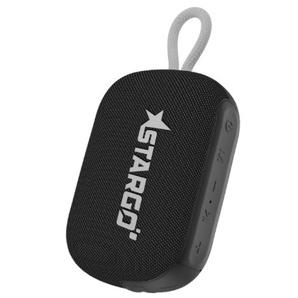Loa Bluetooth StarGO P10 1