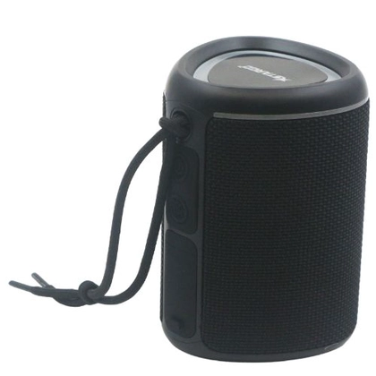 Loa Bluetooth StarGO P10 3