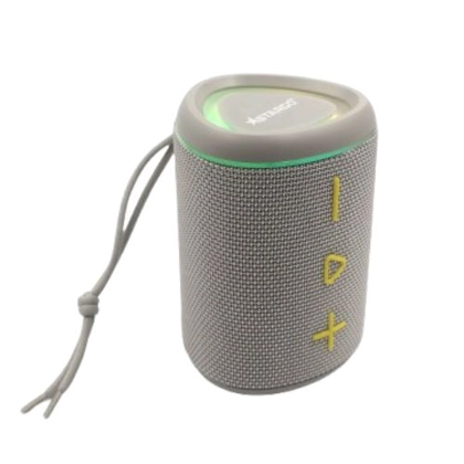 Loa Bluetooth StarGO P10 3