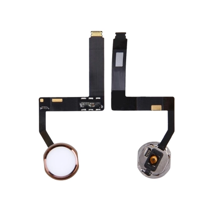 wp-content/uploads/images/products/261848/thay-cap-home-ipad-pro-9-7-17851277968665.png