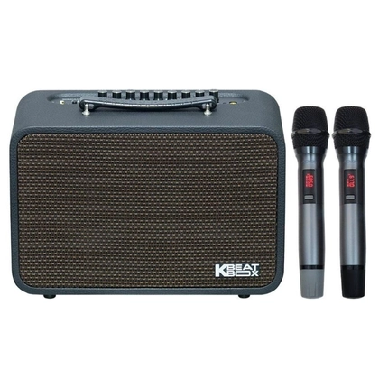 wp-content/uploads/images/products/263279/loa-karaoke-xach-tay-acnos-cps-16s-17703128994733.jpg
