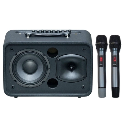 wp-content/uploads/images/products/263279/loa-karaoke-xach-tay-acnos-cps-16s-17703128999161.jpg