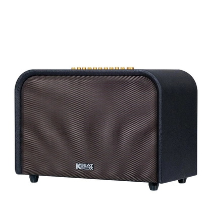 wp-content/uploads/images/products/276196/loa-karaoke-xach-tay-acnos-acoustic-3-17917788945521.png