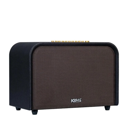 wp-content/uploads/images/products/276196/loa-karaoke-xach-tay-acnos-acoustic-3-17917788949275.png