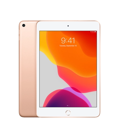 pin iPad Mini 5 chính hãng Vmas 3