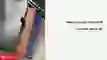 wp-content/uploads/2021/11/bao-da-vvz-cho-ipad-5-6-7-8-1.jpg