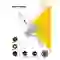 Cáp Pisen Quick MagiPi Magloop Type-C to Lightning 27w 1m 1