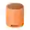 Loa Bluetooth Sony SRS-XB100 Extra Bass 1