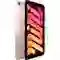 iPad Mini 6 Cũ đẹp 2