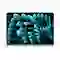 Macbook Air 15 inch M2 2023 8GB 256GB Cũ Đẹp 3