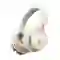 wp-content/uploads/images/products/246080/tai-nghe-bluetooth-chup-tai-anker-soundcore-space-one-17572210466425.png