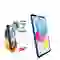 Dán Paperlike Apple iPad A16/ 10.9/Gen 10 Zeelot Film Cao cấp 1
