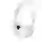 wp-content/uploads/2020/04/tr_ng-1_9_1_.jpg