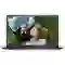 Laptop Dell Inspiron 15 3520 8JTD9 - Cũ đẹp 1