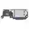 Thay loa ngoài Samsung Galaxy M55 1