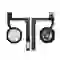 wp-content/uploads/images/products/261843/thay-cap-home-ipad-mini-5-17851274537971.png