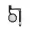 wp-content/uploads/images/products/261843/thay-cap-home-ipad-mini-5-17851274538575.png