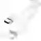 wp-content/uploads/images/products/263219/cap-1hora-cab273-type-c-to-lightning-1m-17695939972768.png