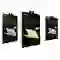 wp-content/uploads/images/products/269898/bo-dan-full-innostyle-macbook-3m-6in1-for-macbook-neo-13-inch-diamond-guard-17798529139972.png