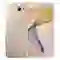 thay màn hình samsung j5 prime 4